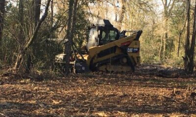 Selective Tree Remova