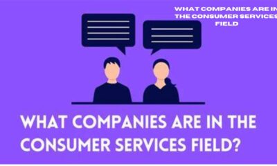 what companies are in the consumer services field