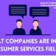 what companies are in the consumer services field