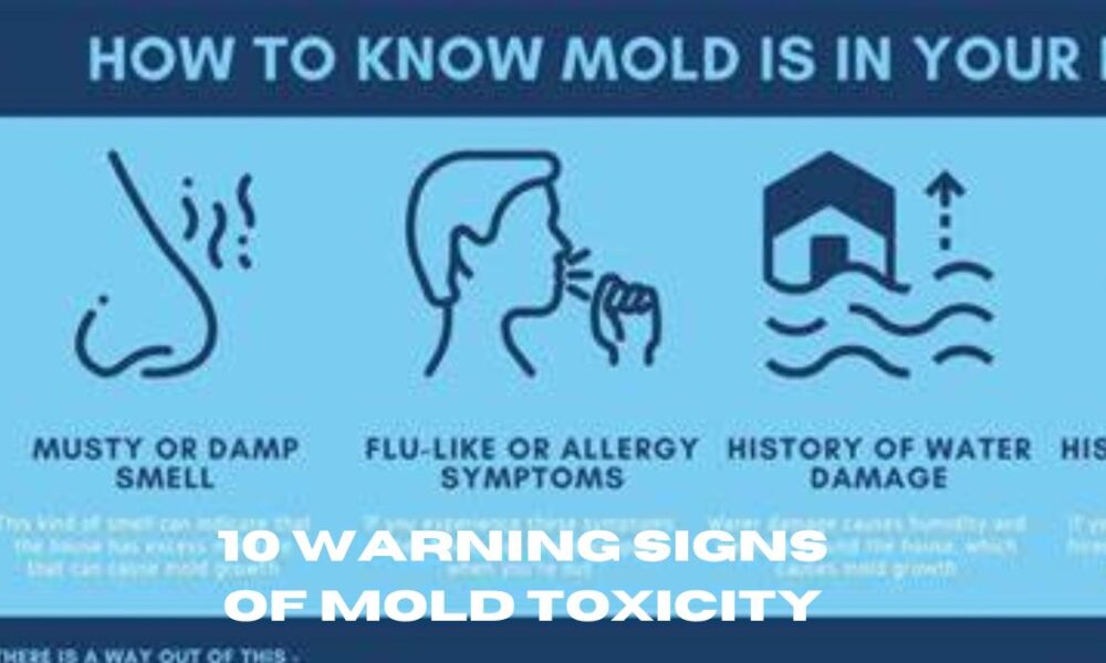 10 warning signs of mold toxicity