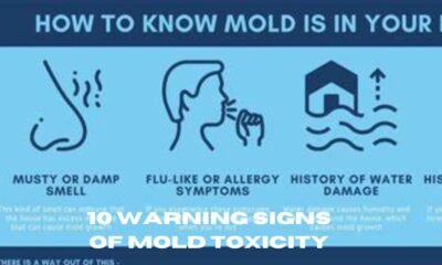10 warning signs of mold toxicity