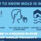 10 warning signs of mold toxicity