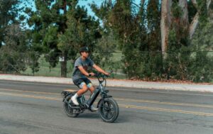 The Himiway Cargo eBike