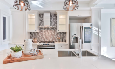 Roach-Proof Your Home