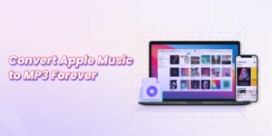 How Many Types of Music Converters Are There Currently