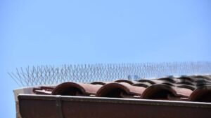 Protecting Health and Hygiene