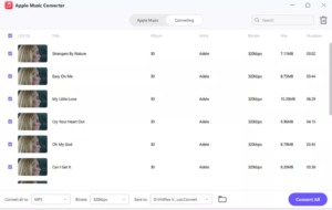 Select Output Format and Start Converting