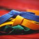 Karate Belt
