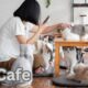 How to open a Cat Cafe