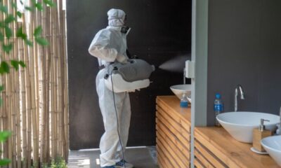 Bat Pest Control CostsBat Pest Control Costs