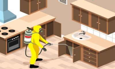 Pest Control Services