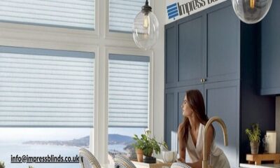 Window Blinds
