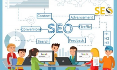 SEO Consultant