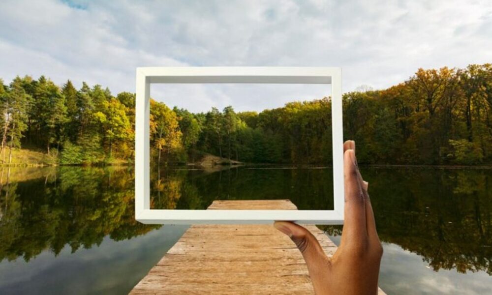 Documentaries Showcasing Natural Wonders