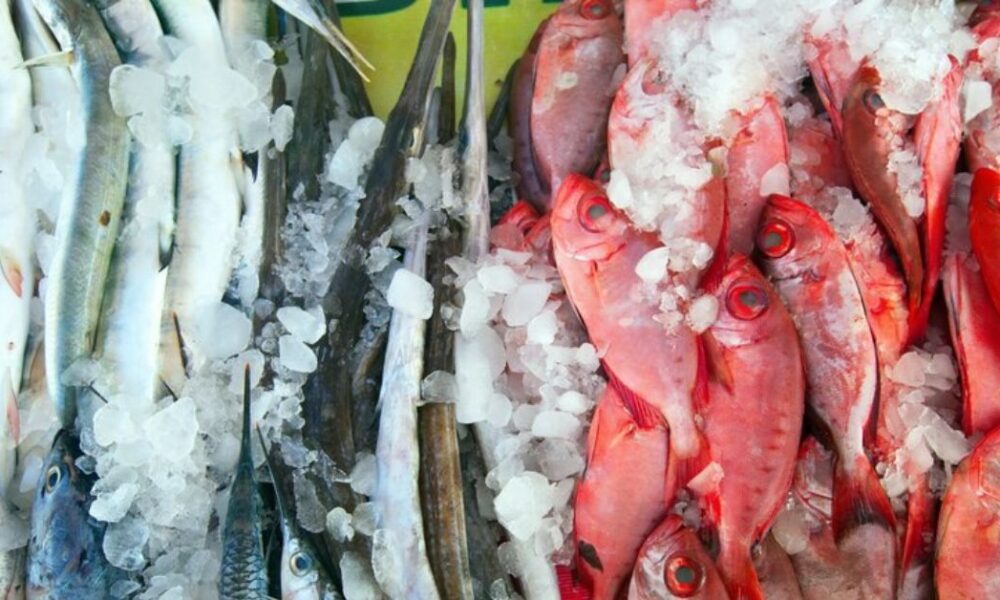 Wholesale Seafood
