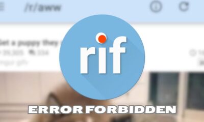 RIF Error Forbidden