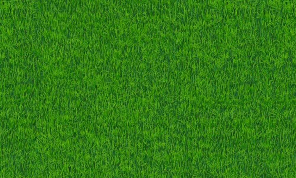 Green Lawn