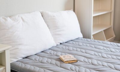 Space into a Zen Oasis