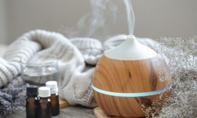 Humidifiers and Dehumidifiers