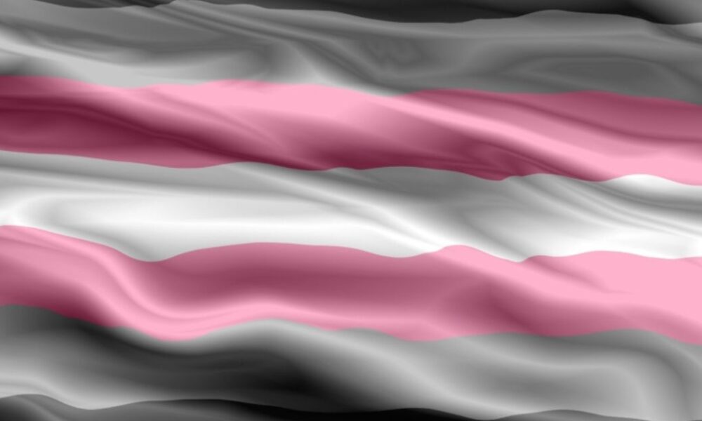 The Demigirl Flag