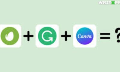 Envato Grammarly Canva Package