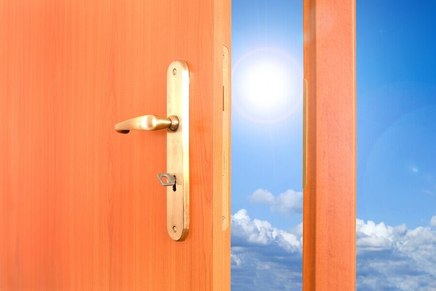 Orange Sort of Door Hinges