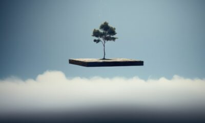 Staying Rooted