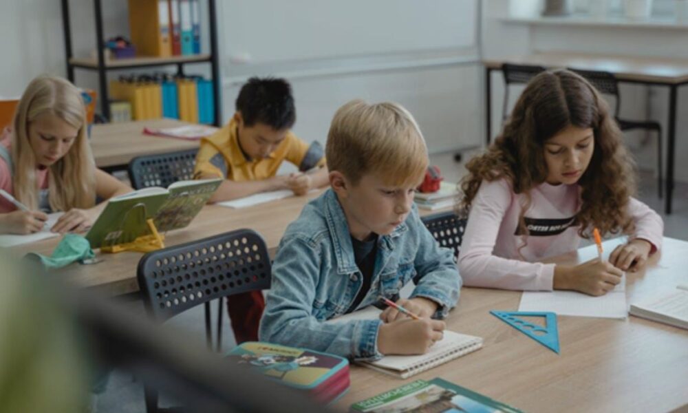 Curriculum Development