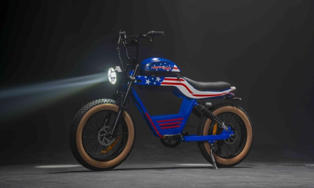 Electric Motorcycle for Adult Battery