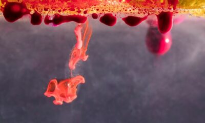 Ergothioneine VS Astaxanthin