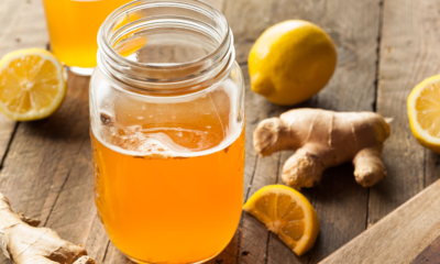 Kombucha