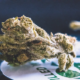 URB Finest Flowers Flavors
