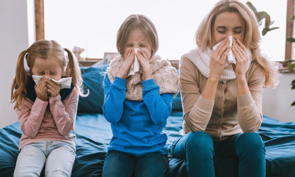 Health Risks of Indoor Mould: What You Need to Know