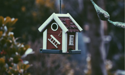 How Real Estate Can Advance Using Digital Tools