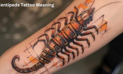Centipede Tattoo Meaning