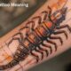 Centipede Tattoo Meaning