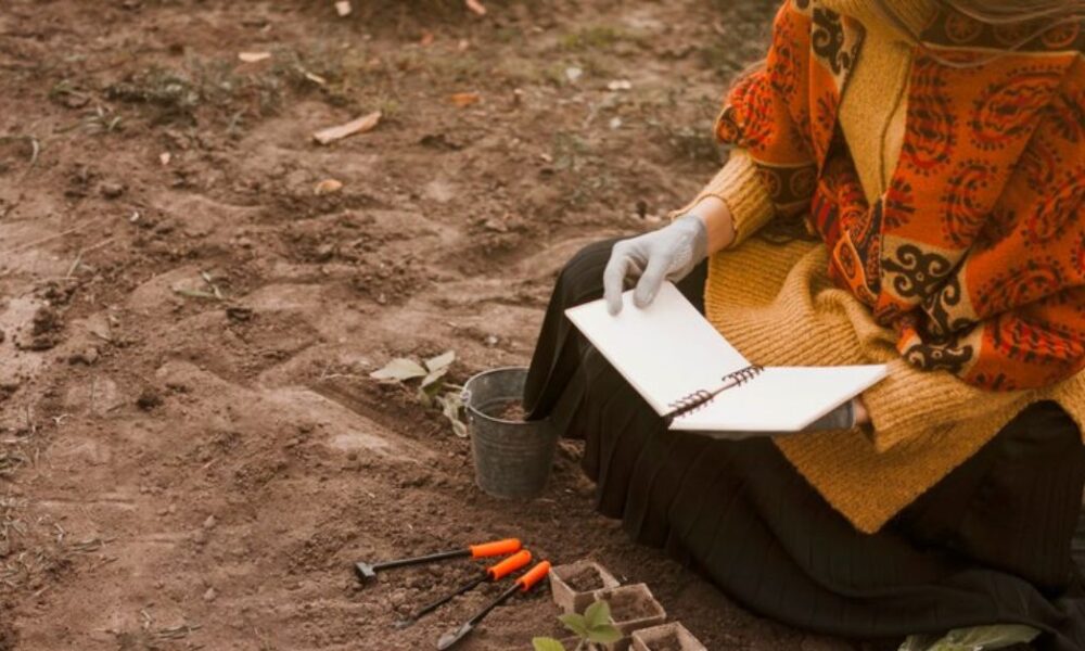 Address Soil Quality