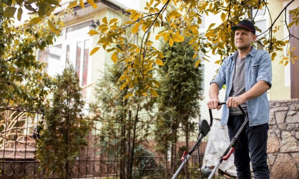 The Benefits of Professional Leaf Removal Services