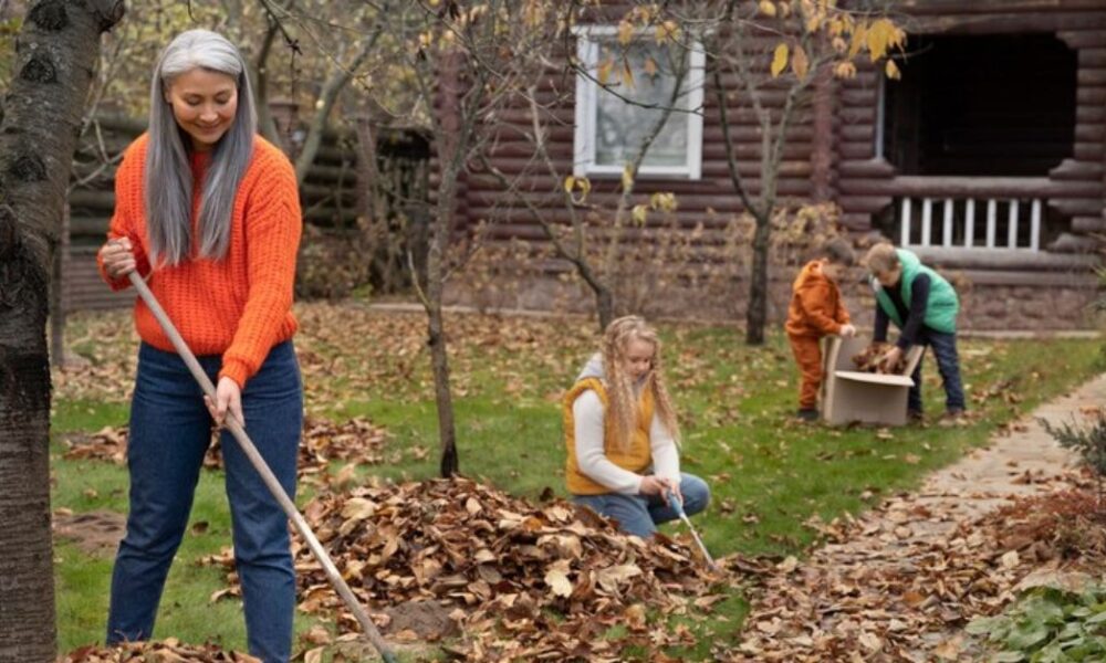 Landscaping Company Services