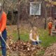 Landscaping Company Services