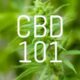 CBD Bud