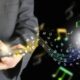 Music Learning App