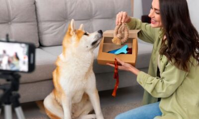 Dog Behavior