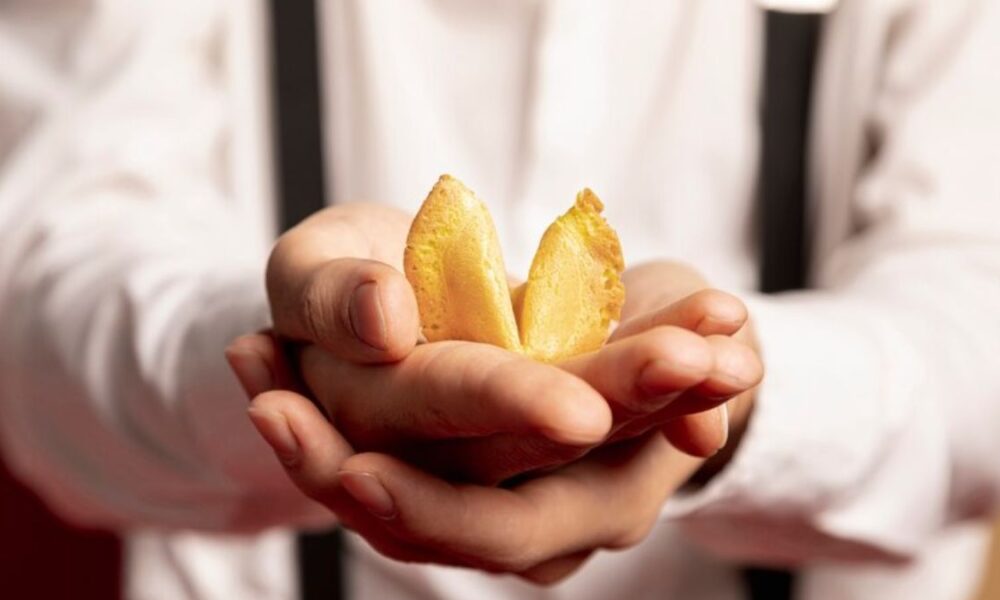 Egg Donation Programs