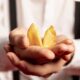 Egg Donation Programs