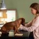 CBD Oil Help with Dogs Anxiety
