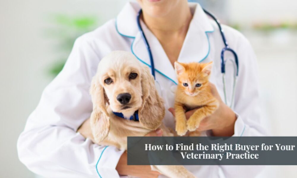 sell vet practice