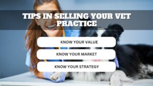 Negotiating the Terms of the Sale