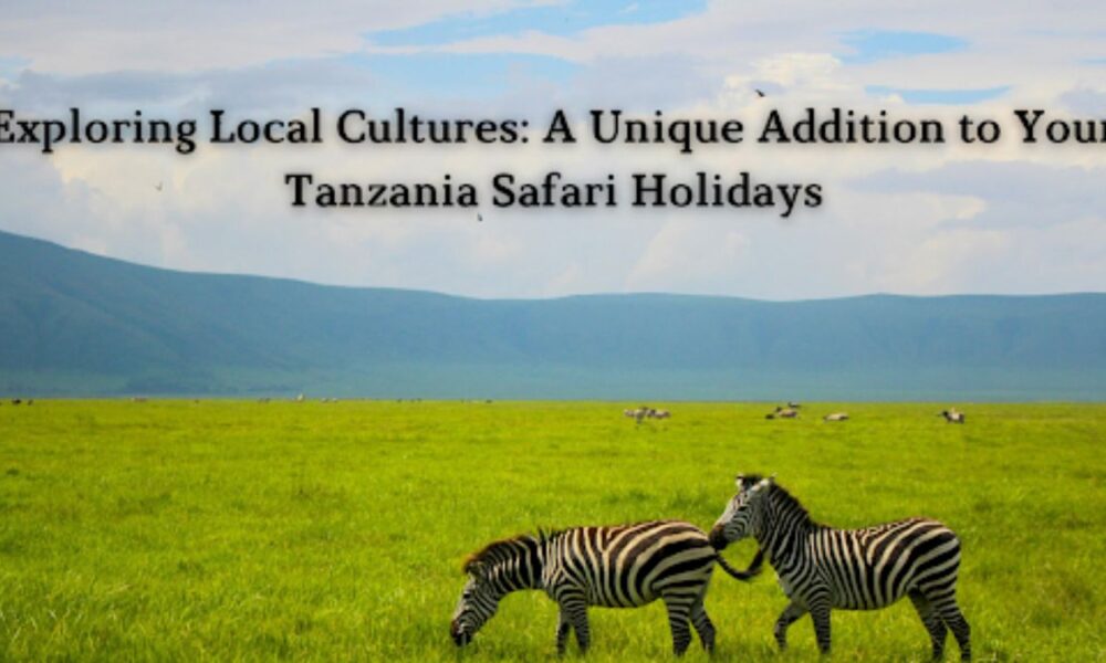 Tanzania Safari Holidays