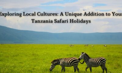 Tanzania Safari Holidays